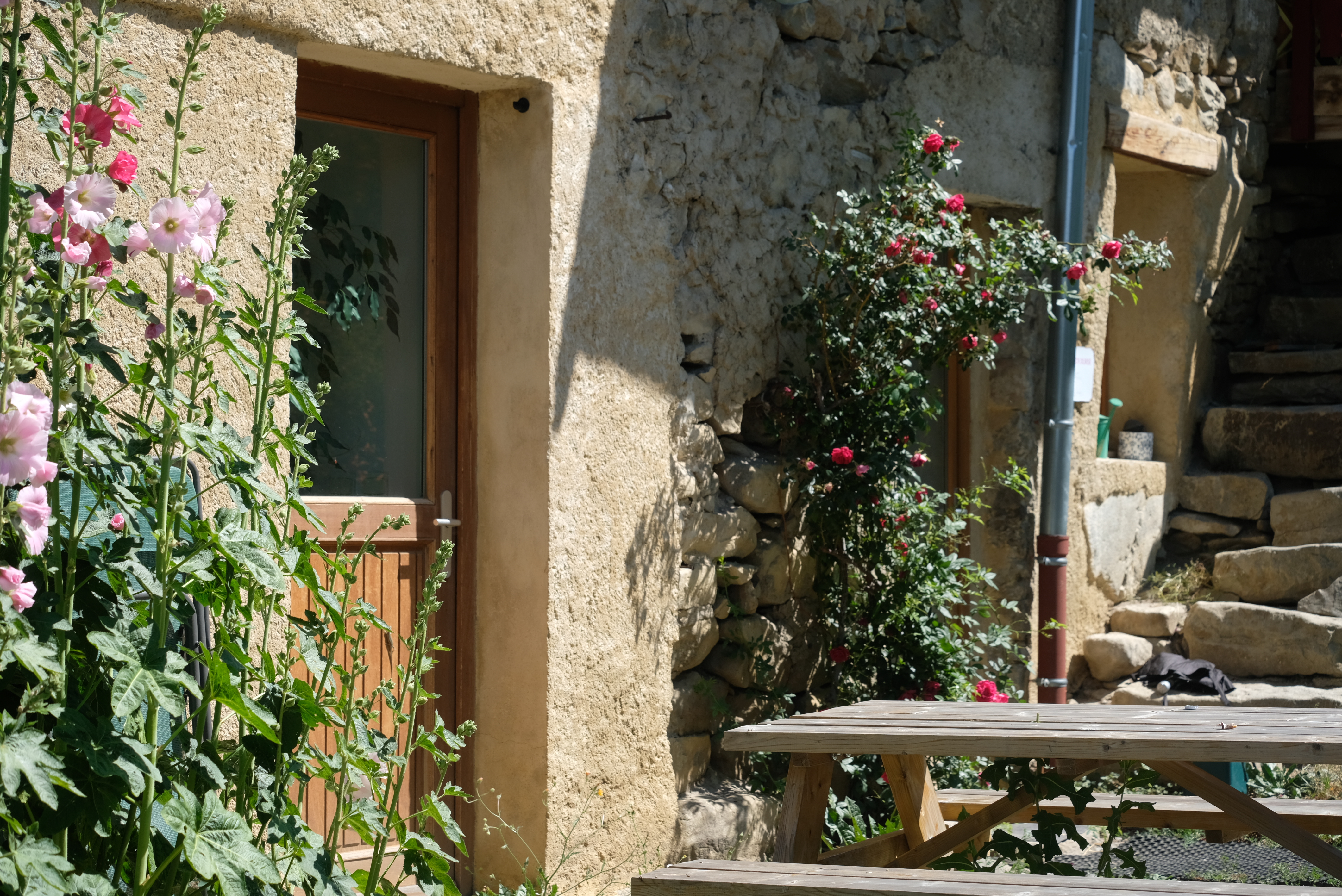 Image du bas